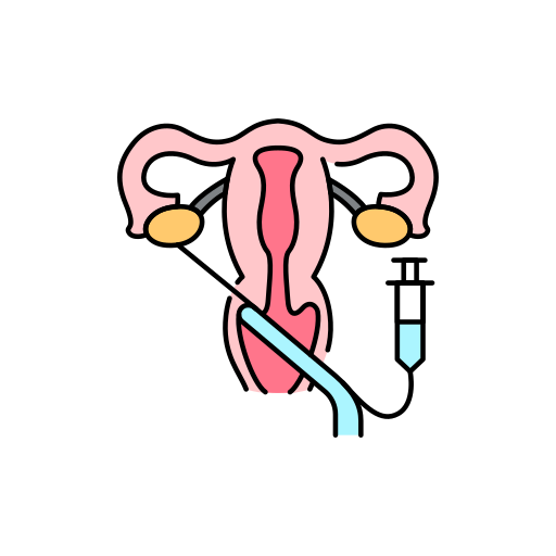 Oocyte Donation